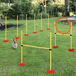 PawHut Portable Pet Agility Training Obstacle Set For Dogs W/ Adjustable High Jumping Pole, Jumping Ring, Turnstile Poles -PawHut Shop 19670340 3