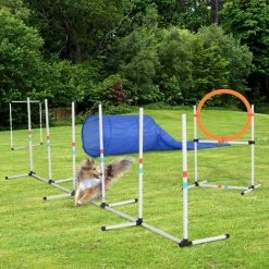PawHut 5-Piece Suit Agility Set For Dog Training Exercise Obedience Rehabilitation -PawHut Shop 21659767 3