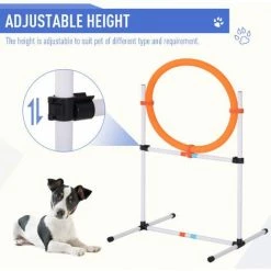 PawHut 5-Piece Suit Agility Set For Dog Training Exercise Obedience Rehabilitation -PawHut Shop 21659767 5