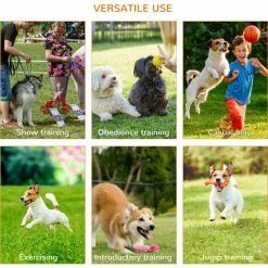 Pawhut Portable Pet Agility Training Obstacle Set For Dogs W/ Adjustable High Jumping Pole, Jumping Ring, Turnstile Poles, Tunnel -PawHut Shop 24011752 5