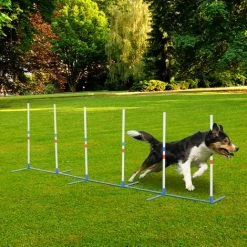 PawHut Adjustable Dog Agility Training Obstacle Course Set With Weaves Poles Storage Bag For Pet Dogs Outdoor Games Exercise 2 PawHut Adjustable Dog Agility Training Obstacle Course Set With Weaves Poles Storage Bag For Pet Dogs Outdoor Games Exercise -PawHut Shop 25012220 3