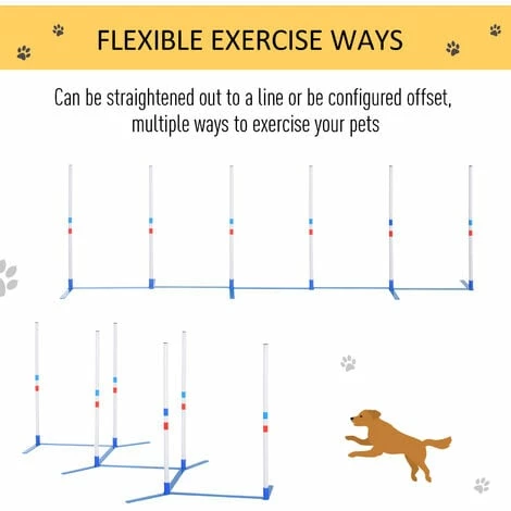 PawHut Adjustable Dog Agility Training Obstacle Course Set with Weaves Poles Storage Bag for Pet Dogs Outdoor Games Exercise PawHut Adjustable Dog Agility Training Obstacle Course Set With Weaves Poles Storage Bag For Pet Dogs Outdoor Games Exercise -PawHut Shop 25012220 5