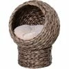 PawHut Elevated Kitten Hooded Rattan Cat House Basket Cushion, 42x33x52cm Grey