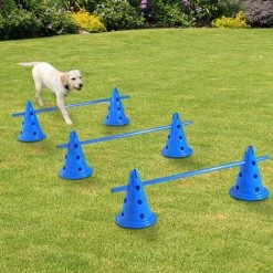 Pawhut Set Of 3 Dog Agility Equipment Jumps Kit Indoor Pet Training Sets Course 2 Pawhut Set Of 3 Dog Agility Equipment Jumps Kit Indoor Pet Training Sets Course -PawHut Shop 6232661 3
