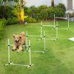 PawHut Canine Agility Set Dog High Jump Training Exercise Obstacles Set 2 PawHut Canine Agility Set Dog High Jump Training Exercise Obstacles Set -PawHut Shop 6232668 3
