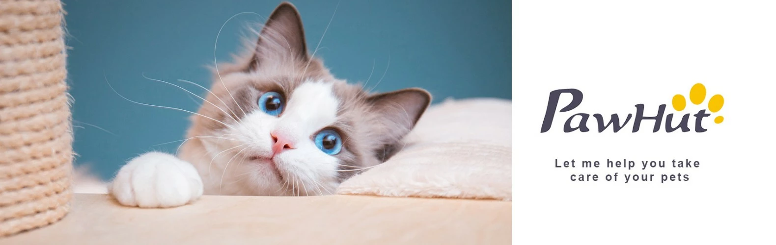 Front Page 1 Front Page -PawHut Shop zhu